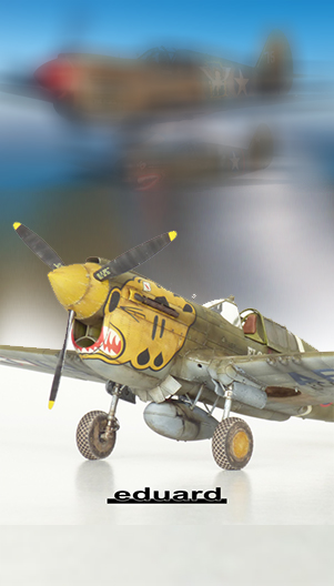 НОВИНКА! P-40E Warhawk